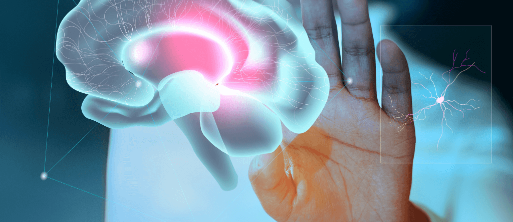 conheça Fosfatidilserina Suplemento